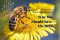 Why It's Critical To Save The Bees To Save The Earth