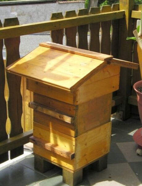 Do Bee Houses Work? 3 Types of Beehive Boxes